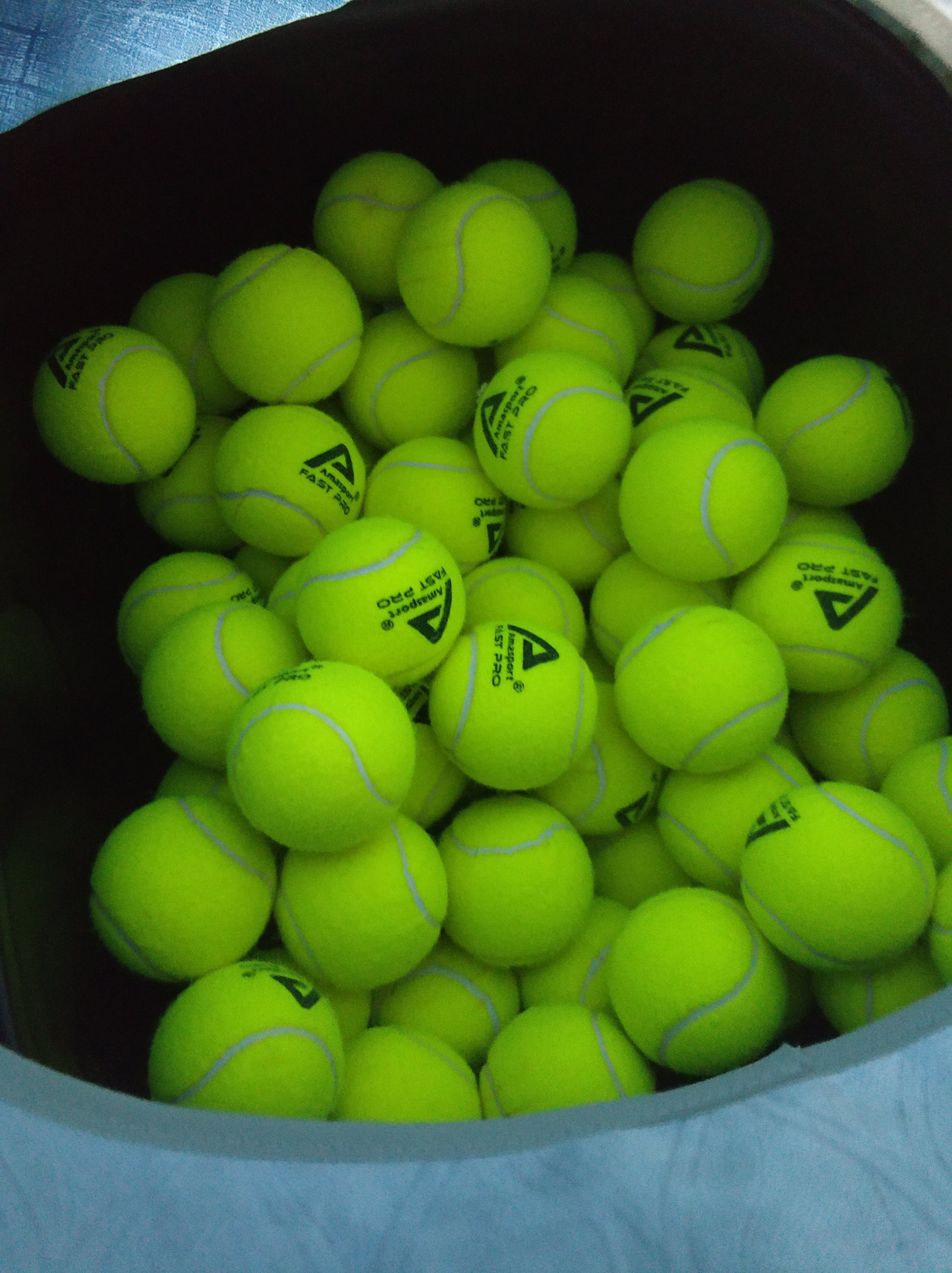 能与球队体 能与球队体