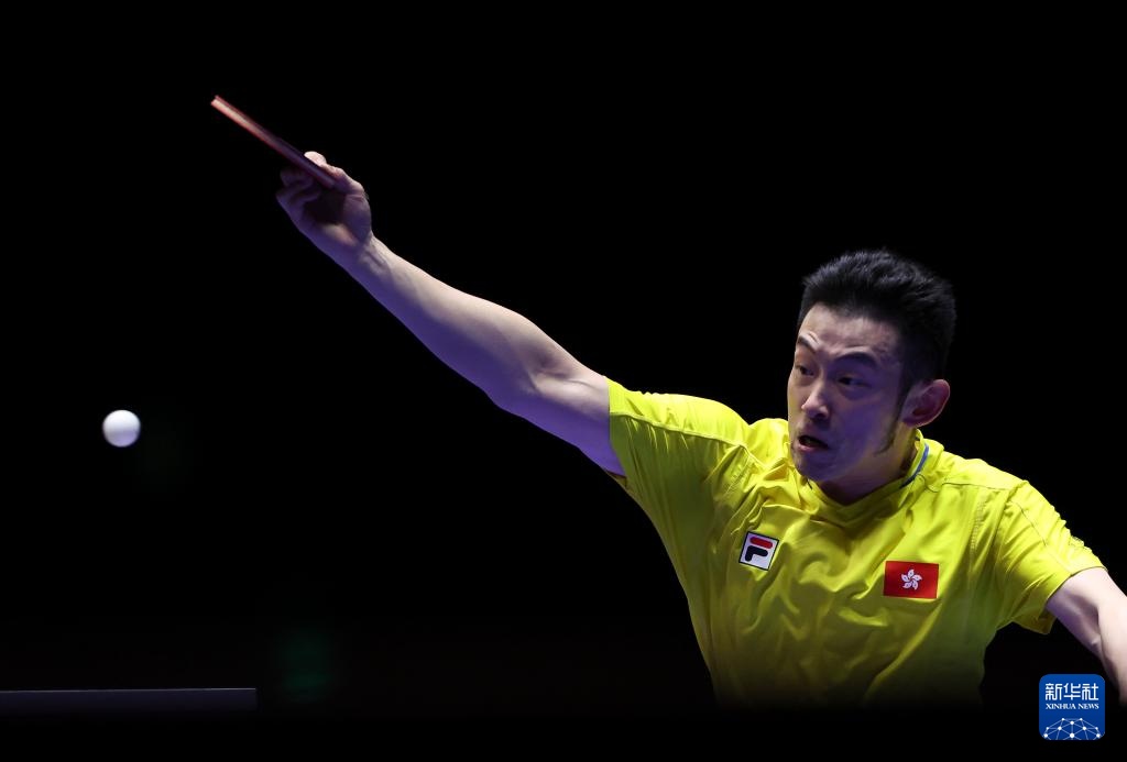 他们展现了 他们展现了