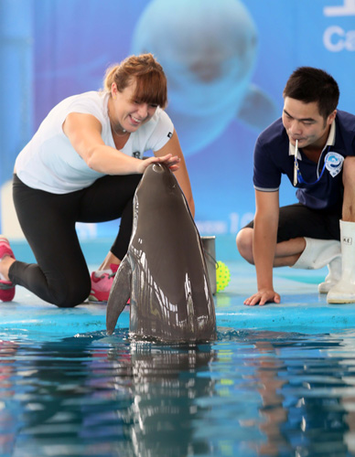 挑战与足球 挑战与足球