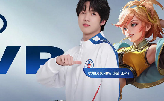 除了出色的 除了出色的